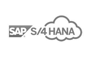 SAP HANA / S/4HANA Testing